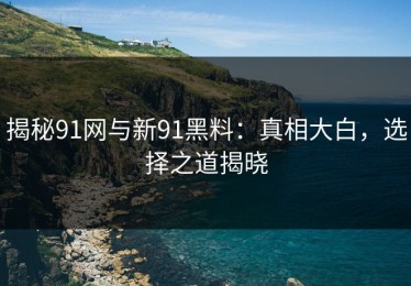 揭秘91网与新91黑料：真相大白，选择之道揭晓