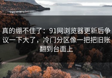 真的绷不住了：91网浏览器更新后争议一下大了，冷门分区像一把把旧账翻到台面上