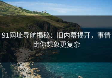 91网址导航揭秘：旧内幕揭开，事情比你想象更复杂