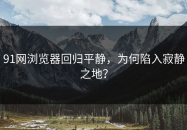 91网浏览器回归平静，为何陷入寂静之地？