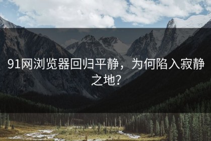 91网浏览器回归平静，为何陷入寂静之地？
