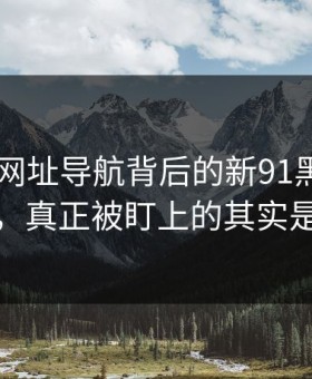 围着91网址导航背后的新91黑料转了这么久，真正被盯上的其实是这一步
