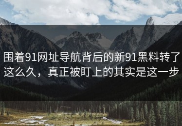 围着91网址导航背后的新91黑料转了这么久，真正被盯上的其实是这一步