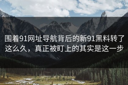 围着91网址导航背后的新91黑料转了这么久，真正被盯上的其实是这一步