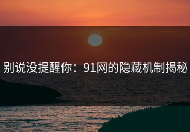 别说没提醒你：91网的隐藏机制揭秘