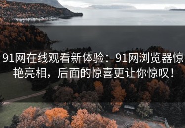 91网在线观看新体验：91网浏览器惊艳亮相，后面的惊喜更让你惊叹！