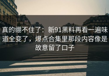真的绷不住了：新91黑料再看一遍味道全变了，爆点合集里那段内容像是故意留了口子