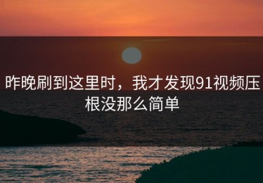 昨晚刷到这里时，我才发现91视频压根没那么简单