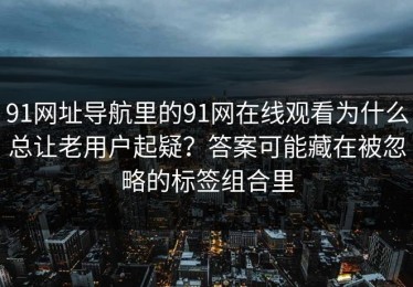 91网址导航里的91网在线观看为什么总让老用户起疑？答案可能藏在被忽略的标签组合里