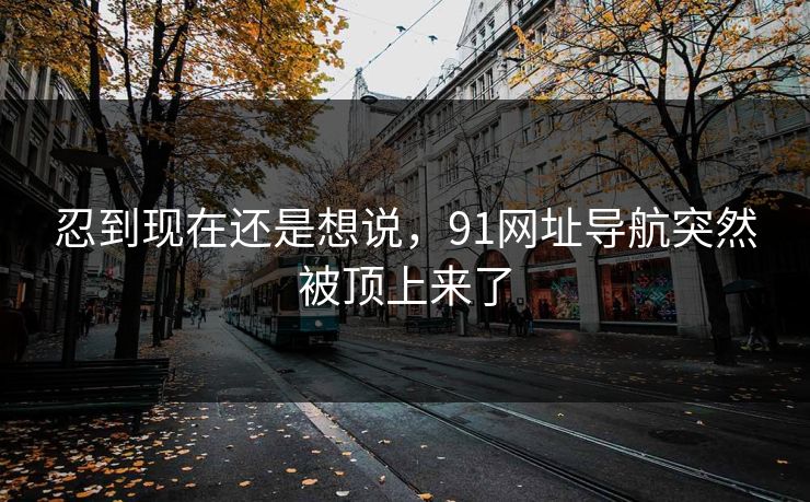 忍到现在还是想说，91网址导航突然被顶上来了
