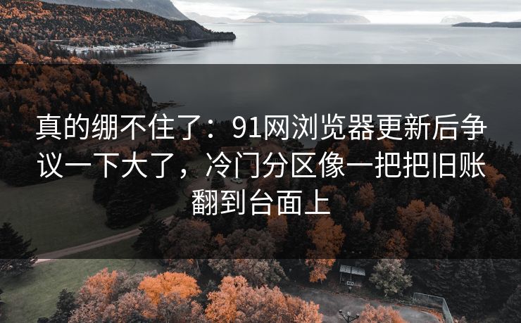 真的绷不住了：91网浏览器更新后争议一下大了，冷门分区像一把把旧账翻到台面上