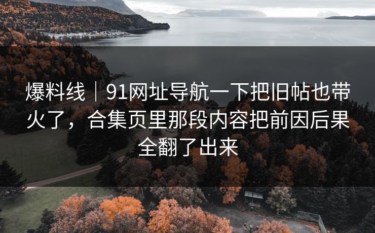爆料线｜91网址导航一下把旧帖也带火了，合集页里那段内容把前因后果全翻了出来