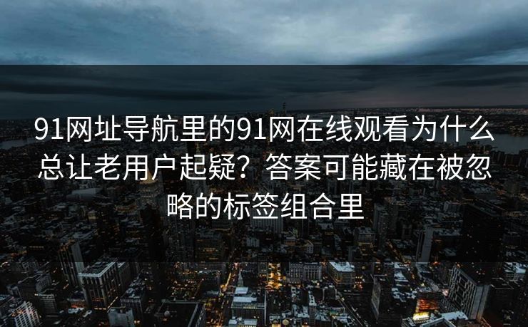 91网址导航里的91网在线观看为什么总让老用户起疑？答案可能藏在被忽略的标签组合里