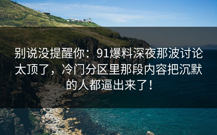 别说没提醒你：91爆料深夜那波讨论太顶了，冷门分区里那段内容把沉默的人都逼出来了！