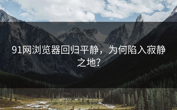 91网浏览器回归平静，为何陷入寂静之地？