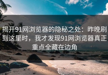 揭开91网浏览器的隐秘之处：昨晚刷到这里时，我才发现91网浏览器真正重点全藏在边角