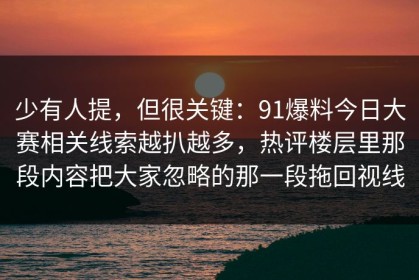 少有人提，但很关键：91爆料今日大赛相关线索越扒越多，热评楼层里那段内容把大家忽略的那一段拖回视线