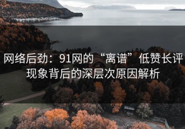 网络后劲：91网的“离谱”低赞长评现象背后的深层次原因解析