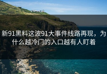 新91黑料这波91大事件线路再现，为什么越冷门的入口越有人盯着