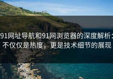 91网址导航和91网浏览器的深度解析：不仅仅是热度，更是技术细节的展现