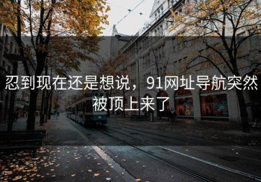忍到现在还是想说，91网址导航突然被顶上来了