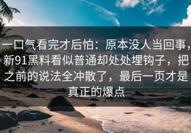 一口气看完才后怕：原本没人当回事，新91黑料看似普通却处处埋钩子，把之前的说法全冲散了，最后一页才是真正的爆点