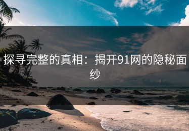 探寻完整的真相：揭开91网的隐秘面纱