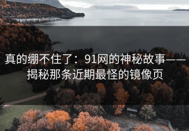 真的绷不住了：91网的神秘故事——揭秘那条近期最怪的镜像页