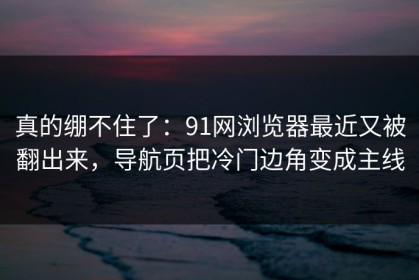 真的绷不住了：91网浏览器最近又被翻出来，导航页把冷门边角变成主线