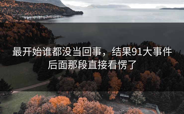 最开始谁都没当回事,结果91大事件后面那段直接看愣了 最开始谁都没当回事,结果91大事件后面那段直接看愣了