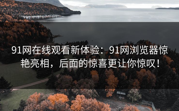 91网在线观看新体验：91网浏览器惊艳亮相，后面的惊喜更让你惊叹！