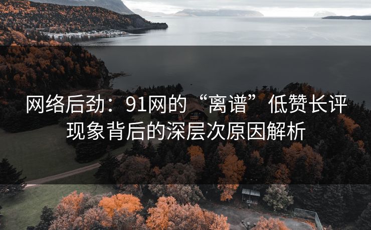 网络后劲：91网的“离谱”低赞长评现象背后的深层次原因解析