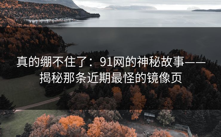 真的绷不住了:91网的神秘故事——揭秘那条近期最怪的镜像页 真的绷不住了:91网的神秘故事——揭秘那条近期最怪的镜像页