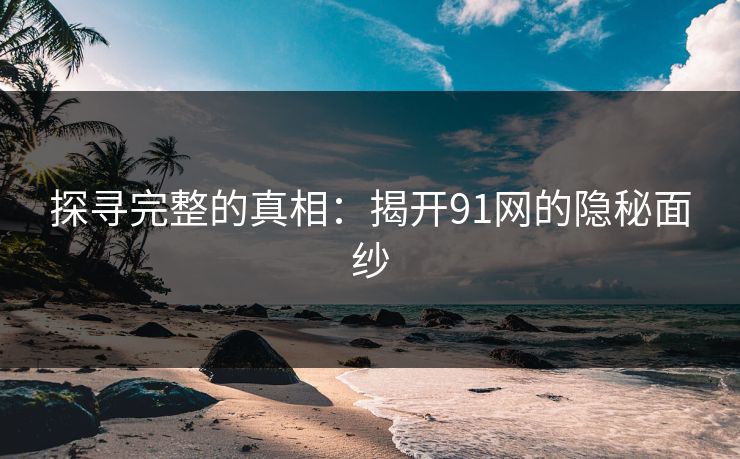 探寻完整的真相：揭开91网的隐秘面纱